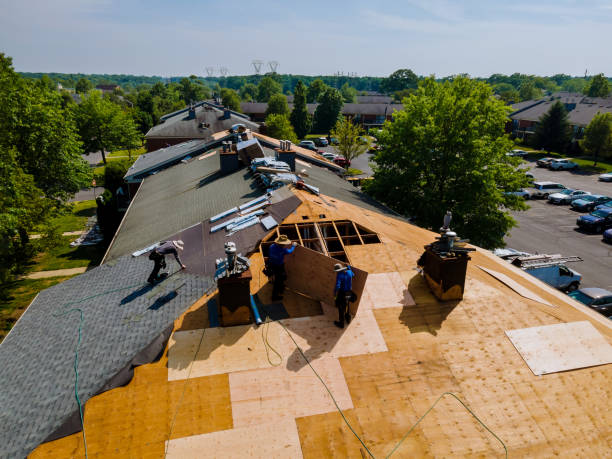 Roof Gutter Cleaning in Maplewood, MN