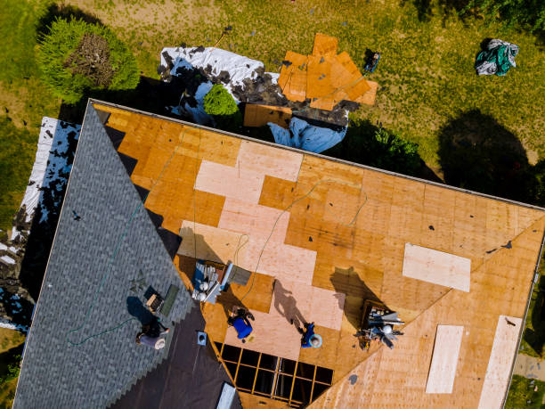 Best Roof Waterproofing Services  in Maplewood, MN